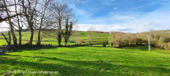 FINCA URBANIZABLE DE MÁS 17.200 METROS CUADRADOS TOTALMENTE LLANA.- - CANTABRIA