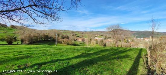 FINCA URBANIZABLE DE MÁS 17.200 METROS CUADRADOS TOTALMENTE LLANA.- - CANTABRIA