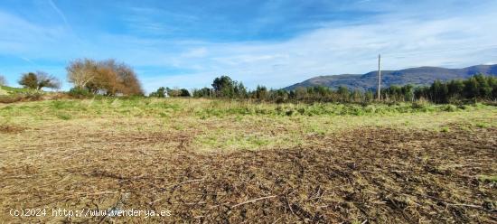 FINCA RÚSTICA DE 3.135 METROS CUADRADOS EN CASTILLO PEDROSO.- - CANTABRIA