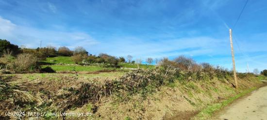 FINCA RÚSTICA DE 3.135 METROS CUADRADOS EN CASTILLO PEDROSO.- - CANTABRIA