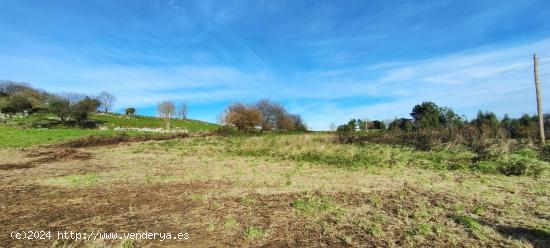 FINCA RÚSTICA DE 3.135 METROS CUADRADOS EN CASTILLO PEDROSO.- - CANTABRIA