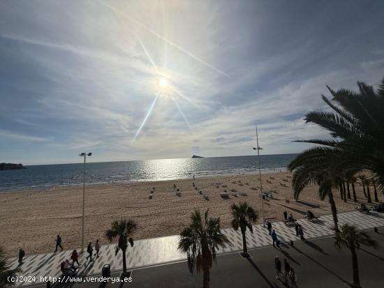 PISO EN PRIMERA LÍNEA DE LEVANTE - ALICANTE