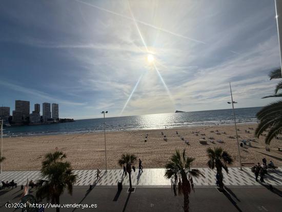 PISO EN PRIMERA LÍNEA DE LEVANTE - ALICANTE