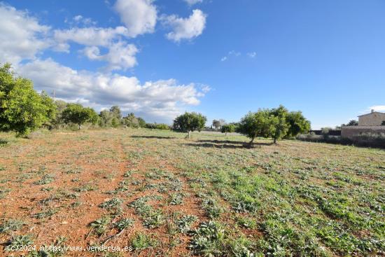 FINCA RÚSTICA A LA VENTA EN BÚGER - BALEARES