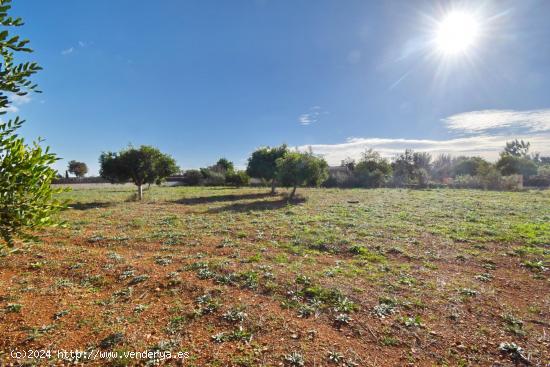 FINCA RÚSTICA A LA VENTA EN BÚGER - BALEARES