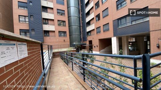 Apartamento de 2 dormitorios en alquiler en Madrid - MADRID