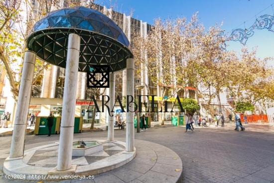 MAGNÍFICO LOCAL EN ALQUILER EN PLENO CENTRO DE CÓRDOBA - CORDOBA