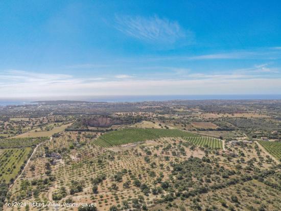 Chalet en Sant Llorenç des Cardassar - BALEARES