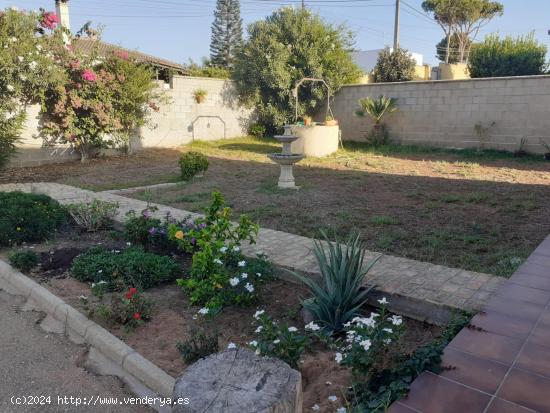 VENTA DE DOS CHALETS EN LA RANA VERDE - CADIZ