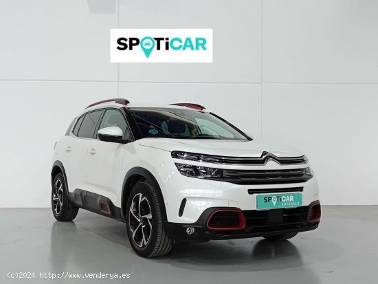 Citroën C5 Aircross  BlueHdi 96kW (130CV) S&S Feel - 