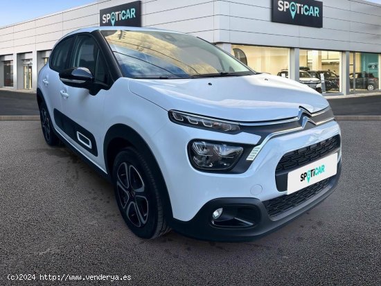 Citroën C3  BlueHDi 75KW (100CV) Plus - 