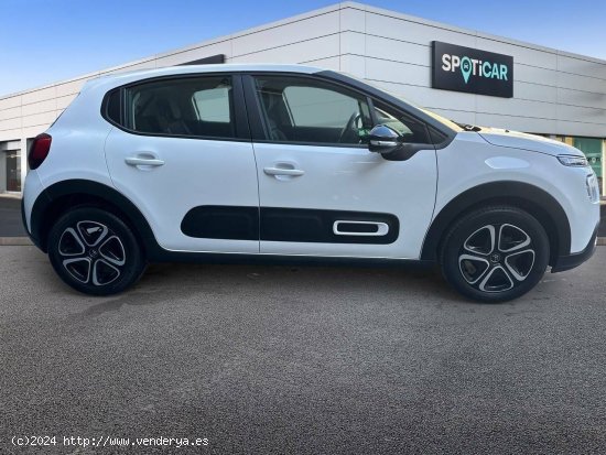 Citroën C3  BlueHDi 75KW (100CV) Plus - 