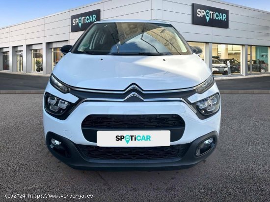 Citroën C3  BlueHDi 75KW (100CV) Plus - 