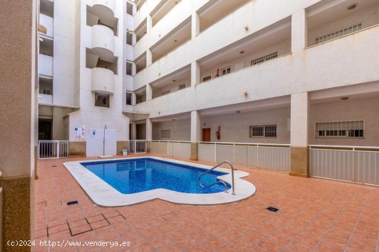 Apartamento en venta en Torrevieja (Alicante)