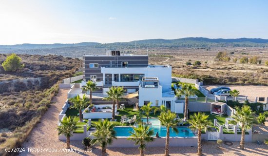 Finca en venta en San Miguel de Salinas (Alicante)