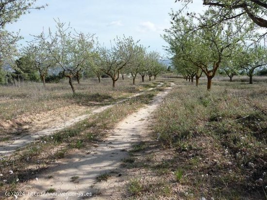 Finca en venta en Bot (Tarragona)