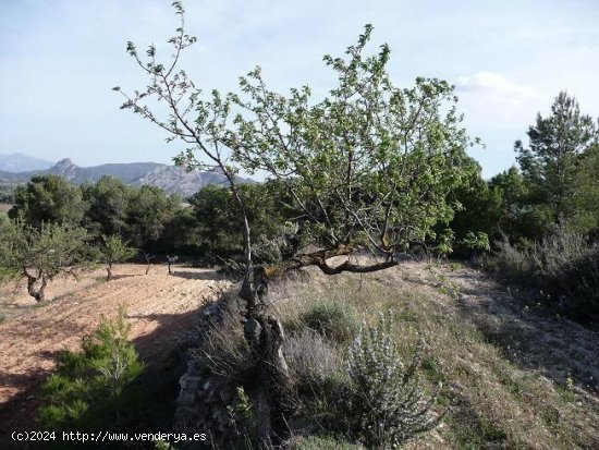 Finca en venta en Bot (Tarragona)