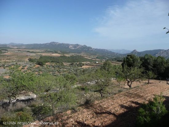 Finca en venta en Bot (Tarragona)