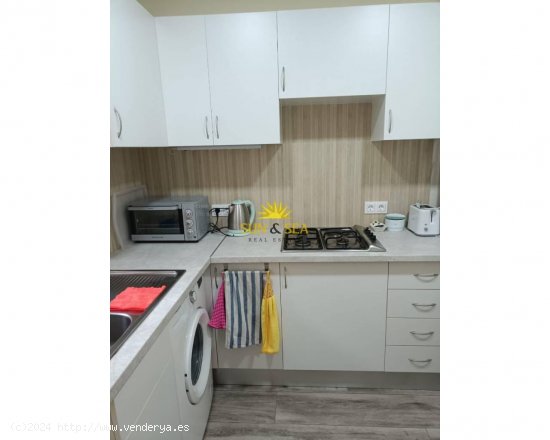 Apartamento en alquiler en Torrevieja (Alicante)