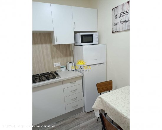 Apartamento en alquiler en Torrevieja (Alicante)