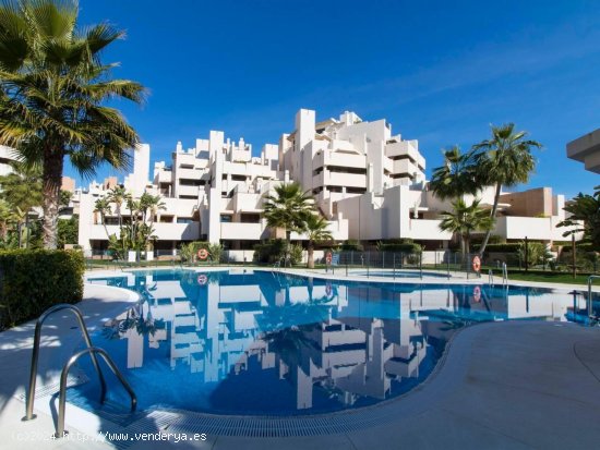 Apartamento en alquiler en Estepona (Málaga)