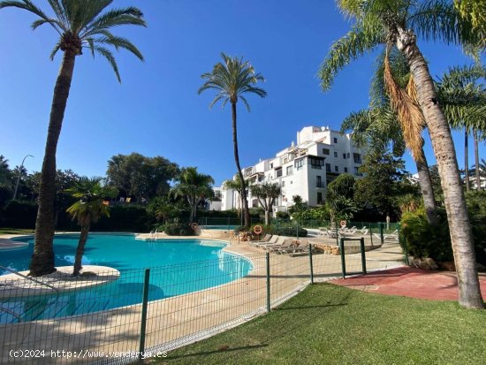 Apartamento en alquiler en Marbella (Málaga)