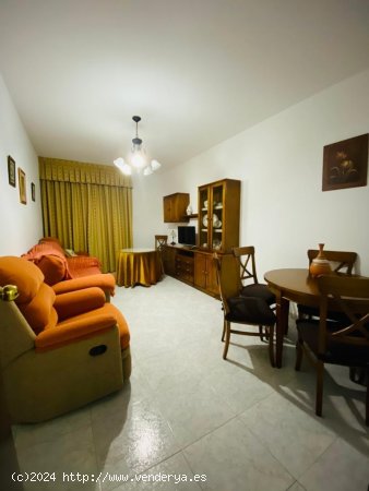 Apartamento en alquiler en Granada (Granada)