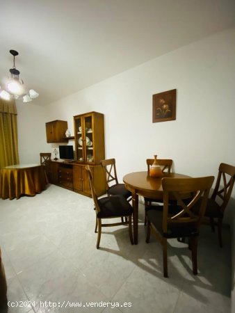 Apartamento en alquiler en Granada (Granada)