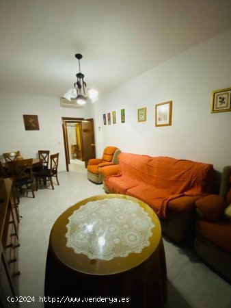 Apartamento en alquiler en Granada (Granada)