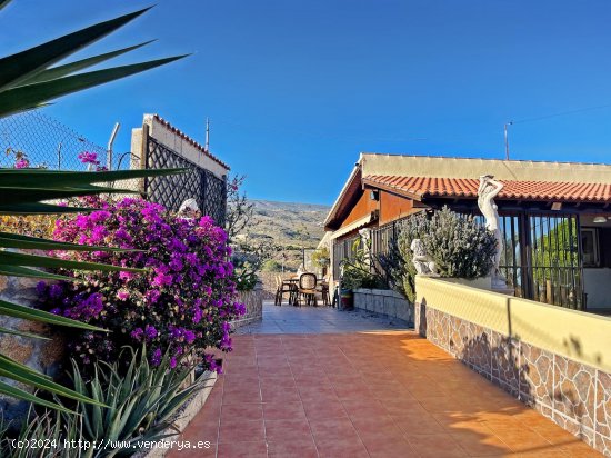 Finca en venta en Arico (Tenerife)