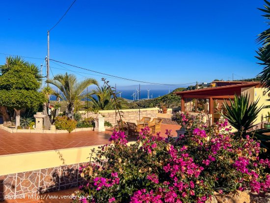 Finca en venta en Arico (Tenerife)