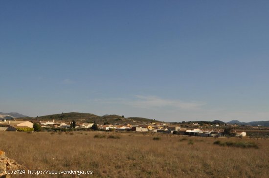 Solar en venta en Jumilla (Murcia)