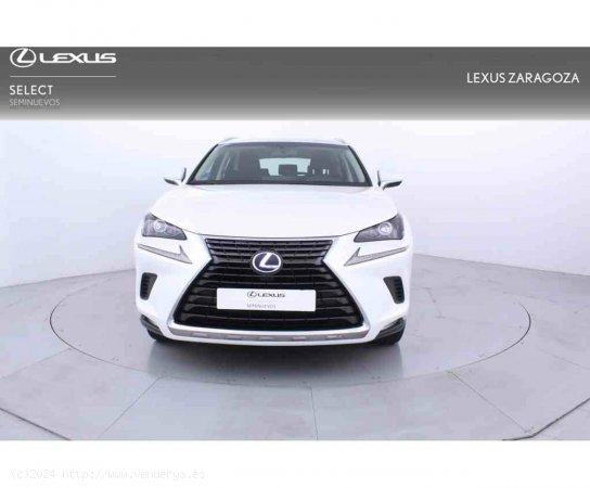 Lexus NX 2.5 300h Business Navigation 2WD - Zaragoza