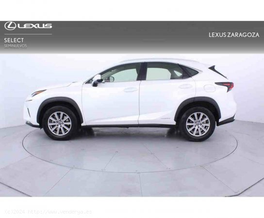 Lexus NX 2.5 300h Business Navigation 2WD - Zaragoza