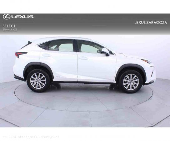 Lexus NX 2.5 300h Business Navigation 2WD - Zaragoza