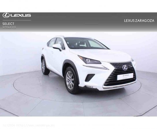 Lexus NX 2.5 300h Business Navigation 2WD - Zaragoza