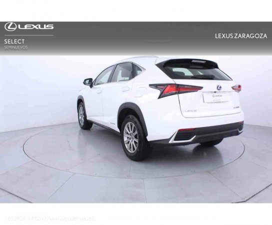 Lexus NX 2.5 300h Business Navigation 2WD - Zaragoza