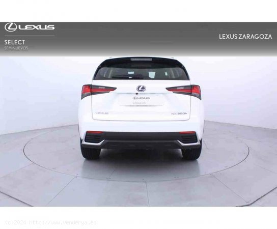 Lexus NX 2.5 300h Business Navigation 2WD - Zaragoza