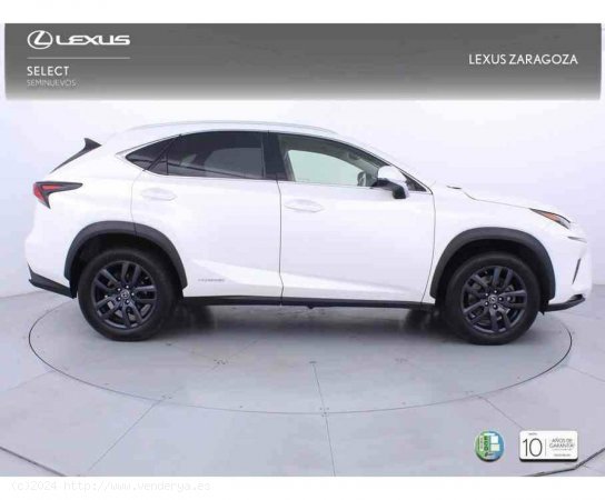 Lexus NX 2.5 300h Executive Kick Power+Navig - Zaragoza