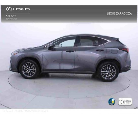 Lexus NX 450h+ Executive 4WD - Zaragoza