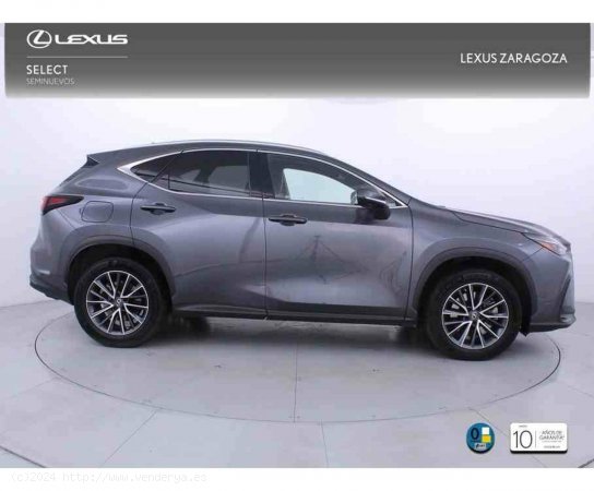 Lexus NX 450h+ Executive 4WD - Zaragoza