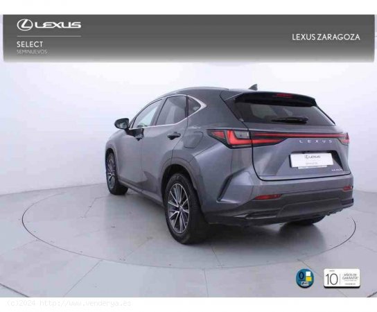 Lexus NX 450h+ Executive 4WD - Zaragoza