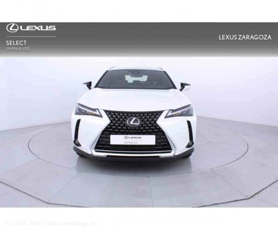 Lexus UX 2.0 250h Business City - Zaragoza