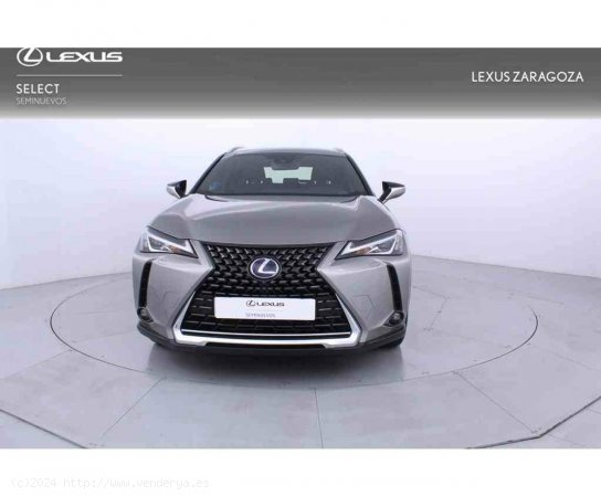 Lexus UX 2.0 250h Business Navigation - Zaragoza