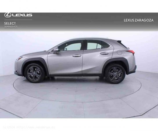 Lexus UX 2.0 250h Business Navigation - Zaragoza