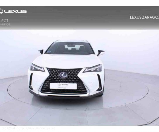 Lexus UX 2.0 250h Luxury 4WD - Zaragoza