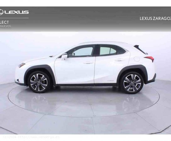 Lexus UX 2.0 250h Luxury 4WD - Zaragoza