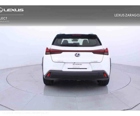 Lexus UX 2.0 250h Luxury 4WD - Zaragoza