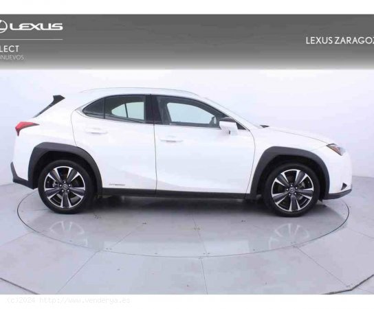 Lexus UX 2.0 250h Luxury 4WD - Zaragoza