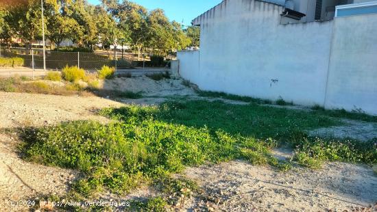 Terreno en el corazón de Molina de segura - MURCIA